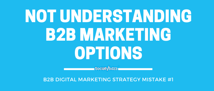 b2b digital marketing plan mistake #1 - not understanding b2b marketing options (1).png